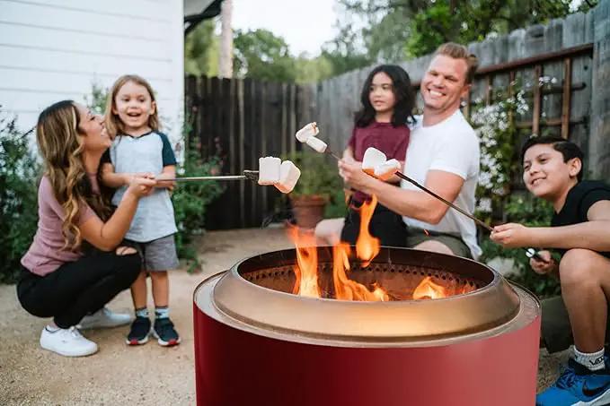Solo Stove Yukon 27 Inch Smokeless Fire Pit with Removable Ash Pan - Wood Burning Portable Stainless Steel Outdoor Fireplace, Stainless Steel, Ideal for 6 or More People, 38 lbs,Mulberry by GreenHaven Gardens