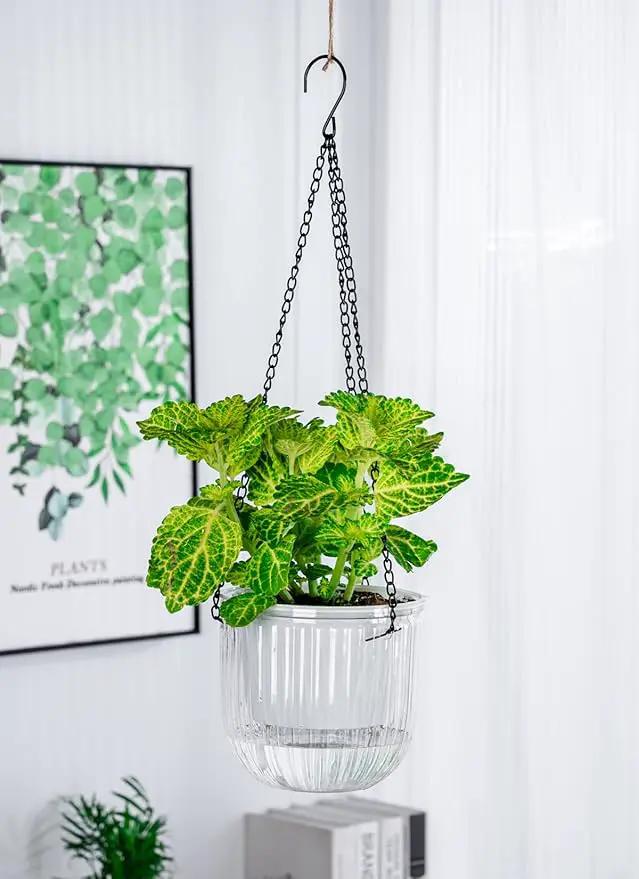 6.5 Inch 2 Pcs Self Watering Hanging Planter Indoor Plant Pots Drainage Holes, Outdoor Hanging Planters Flower Pot Basket, Visible Water Level, Plant Hanger Home Decor, Gardening by GreenHaven Gardens
