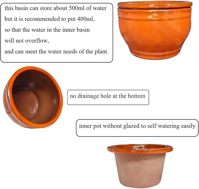 African Violet Pots Self Watering Round Ceramic Violet Pot (Orange, 6 inch) by GreenHaven Gardens