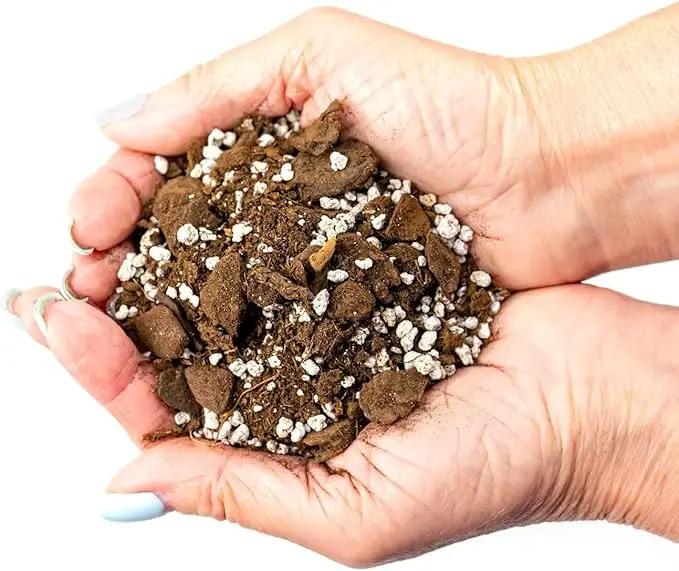 Premium Aloe Vera Potting Soil Mix - (4 Quart Bag) by GreenHaven Gardens