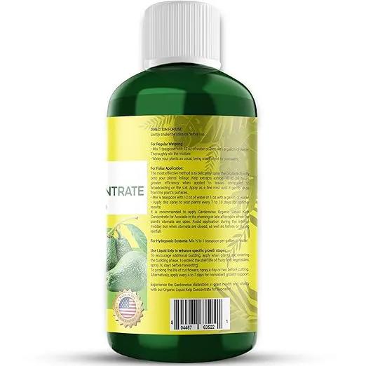 Organic Premium Kelp Seaweed Fertilizer - Liquid Plant Food - Nutrient-Rich Soil Enhancer - Improves Fruit Yield and Quality - Natural Plant Food for Avocado Tree (16 OZ) by GreenHaven Gardens