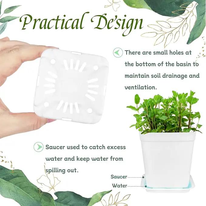 OJYUDD 72 Pcs 3 Inch White Square Plastic Pots with Saucer,White Plastic Plant Seedling Pots,Seedling Nursery Pots Indoor Outdoor for Succulents/Plant,Garden,Office and Balcony Decor by GreenHaven Gardens