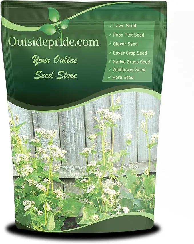 Outsidepride Buckwheat Seeds - 10lbs Annual, Fast-Growing, Easy to Grow Buckwheat Cover Crop Seeds for Green Manure, Bee Pasture & Pollinators, Wildlife Habitat, Soil Improvement, and Erosion Control by GreenHaven Gardens