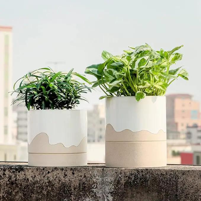 Nihow Self Watering Plant Pot: 6 Inch Ceramic Planter with Drainage Hole & Water Storage Plus for Indoor & Outdoor Plants - Cylinder Round Flower Pot for Succulent/Herbs/Violets - White & Nature by GreenHaven Gardens