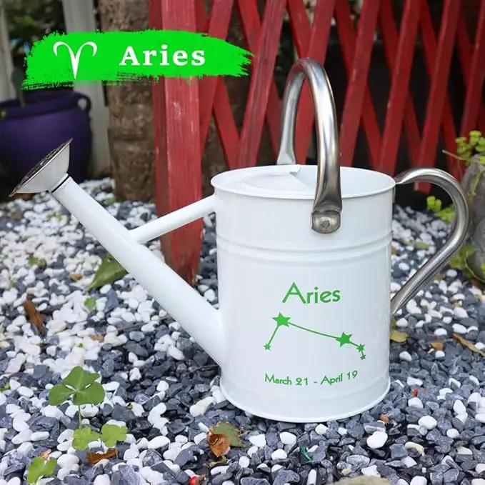 Metal Watering Can for Outdoor and Indoor Plants, Watering Can Decor, 1 Gallon (Aries) by GreenHaven Gardens