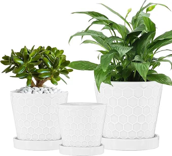 Ceramic Plant Pots,4+5+6 Inch Pots for Indoor Plants,Planters with Drainage Holes and Ceramic Tray, Indoor Flower Pots Gardening Home Desktop Office Windowsill Decoration Gift,Set of 3 (White) by GreenHaven Gardens