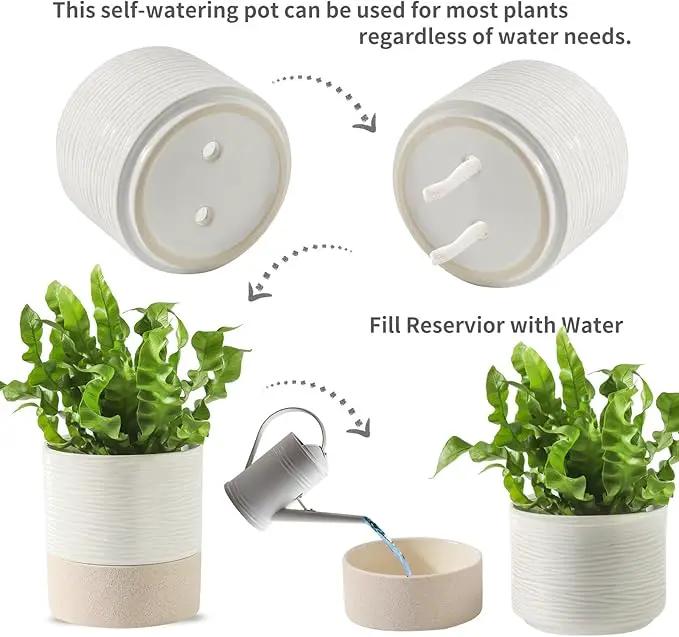 Nihow Self Watering Plant Pot: 4.5 Inch Ceramic Planter with Drainage Hole & Water Storage Plus for Indoor & Outdoor Plants - Cylinder Flower Pot for Herbs/Violets - White & Brown by GreenHaven Gardens
