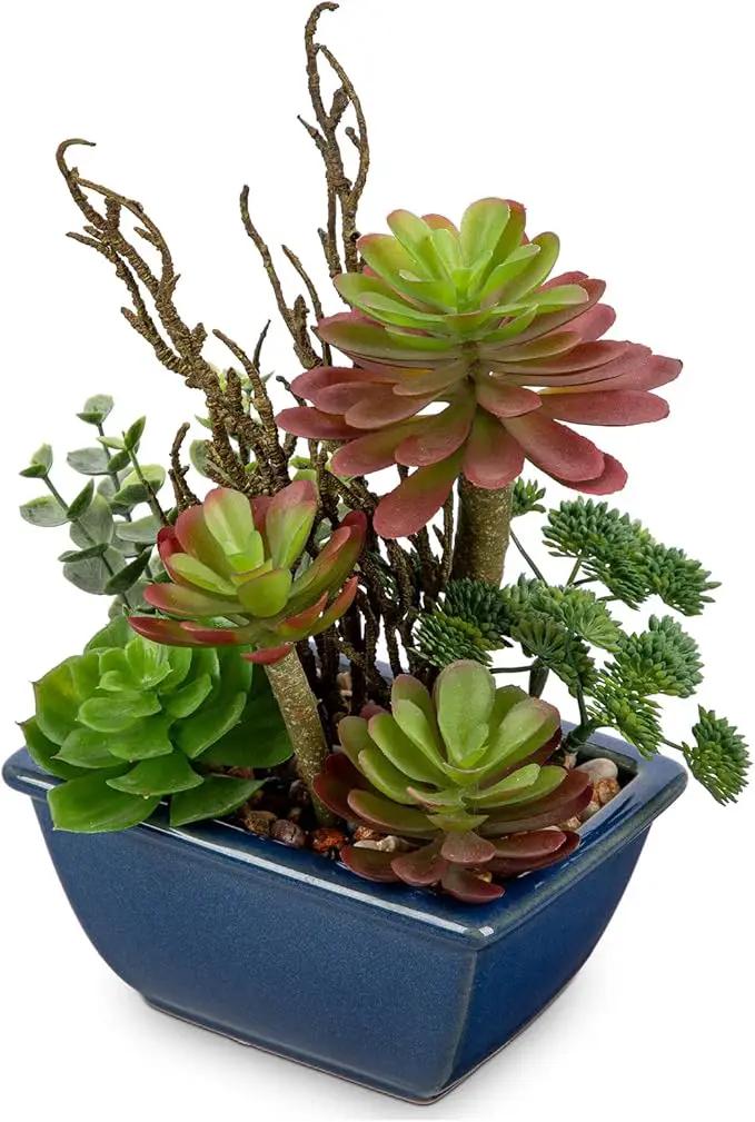 Small Faux Plant Assorted Fake Succulents Plants with Glazed Ceramic Pot Faux Succulents Arrangement Cement Potted Desk Plants Small Fake Plants for Home Table Office Bathroom Shelf Living Room Decor by GreenHaven Gardens