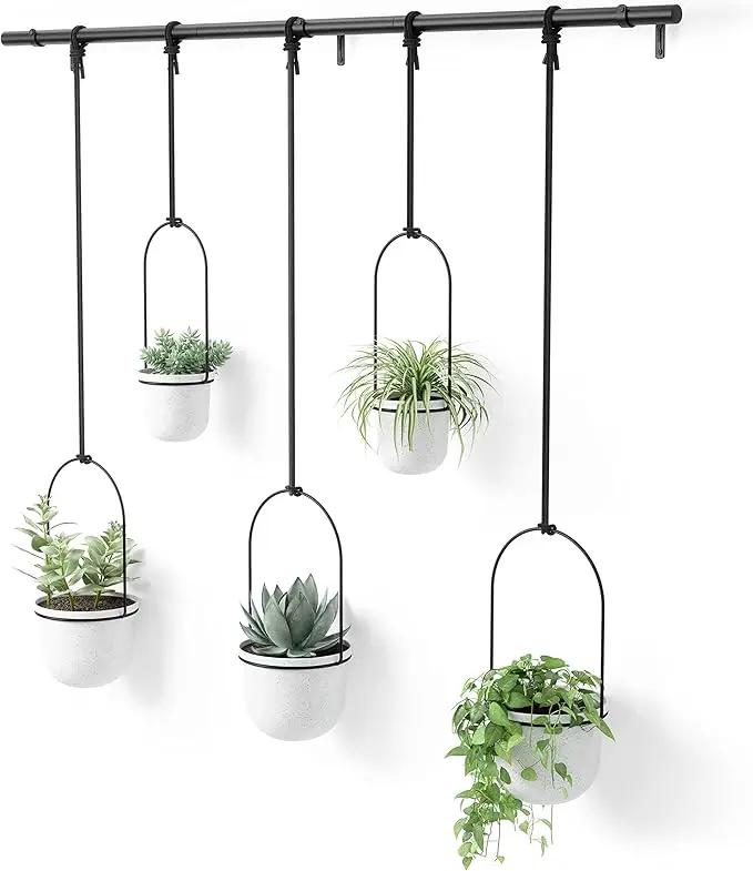 Umbra Triflora Hanging Planter for Window, Indoor Herb Garden, Set of 5, White/Black by GreenHaven Gardens