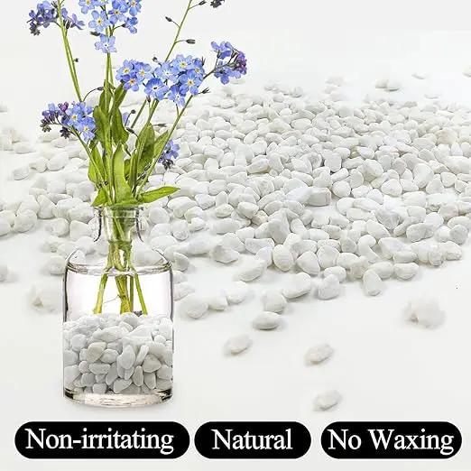 20lbs White Pebbles for Landscaping, 3/8inch Small Rocks for Gardening Succulent Cactus Planters, Natural Polished Pebbles, River Rocks for Plants, Vases by GreenHaven Gardens