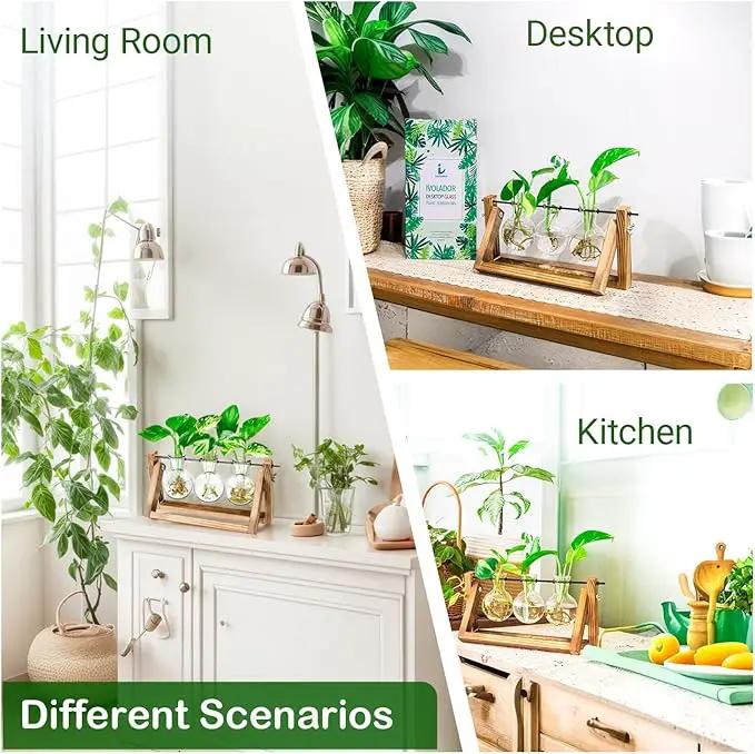 Ivolador Plant Propagation Station,Bulb Plant Terrarium with Wooden Stand,Unique Gardening Gifts for Women Plant Lovers,Hydroponic Indoor Planter Home Office Garden Wedding Decor-3 Bulb Glass Vases by GreenHaven Gardens