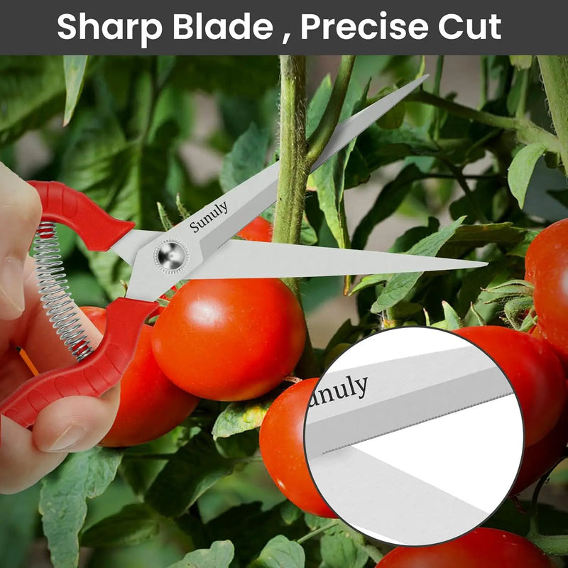 Extra Long Pruning Shears, Gardening Hand Pruners with Stainless Steel Blades, Garden scissors for Arranging Flowers, Trimming Plants, Harvesting Herbs, Fruits or Vegetables, 9.5IN by GreenHaven Gardens