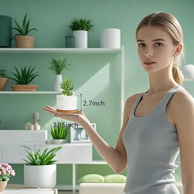 ZOUTOG Succulent Planter, White Mini 3.15 inch Ceramic Flower Planter Pot with Bamboo Tray, Pack of 4 - Plants Not Included by GreenHaven Gardens