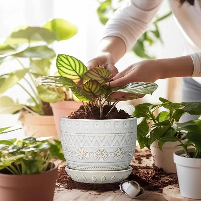 G EPGardening Ceramic Planters for Indoor Plants - 5 Inch Plant Pot for Outdoor Plants Succulent Planter with Drainage Hole and Saucer Flower Pot for Room Decor White by GreenHaven Gardens