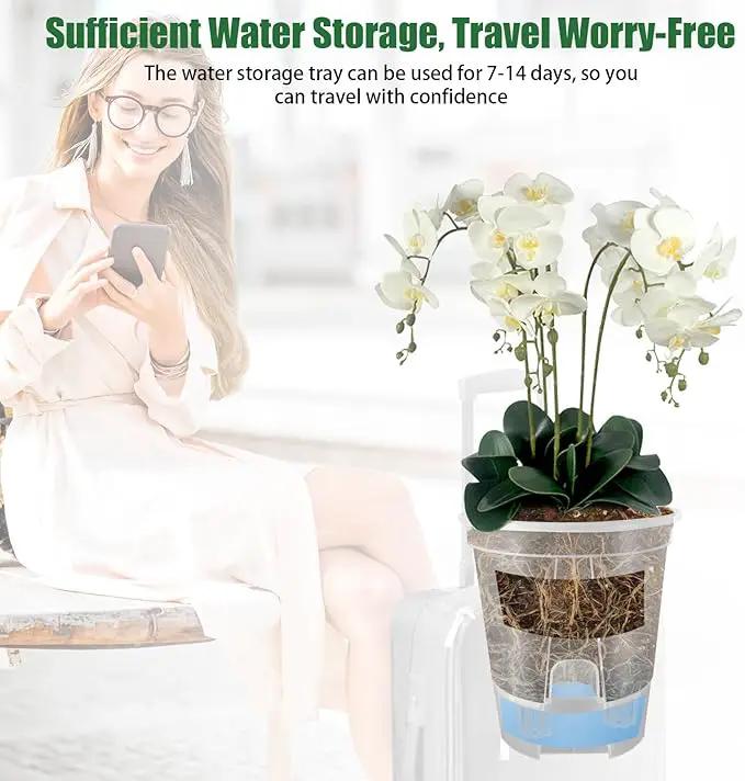 Cdd's Path 5-Pack 6 Inch Self Watering Pots Set with Holes for Indoor/Outdoor Plants,Planter Pot with Watering Hole/Reservior and Air Pipes,Clear by GreenHaven Gardens