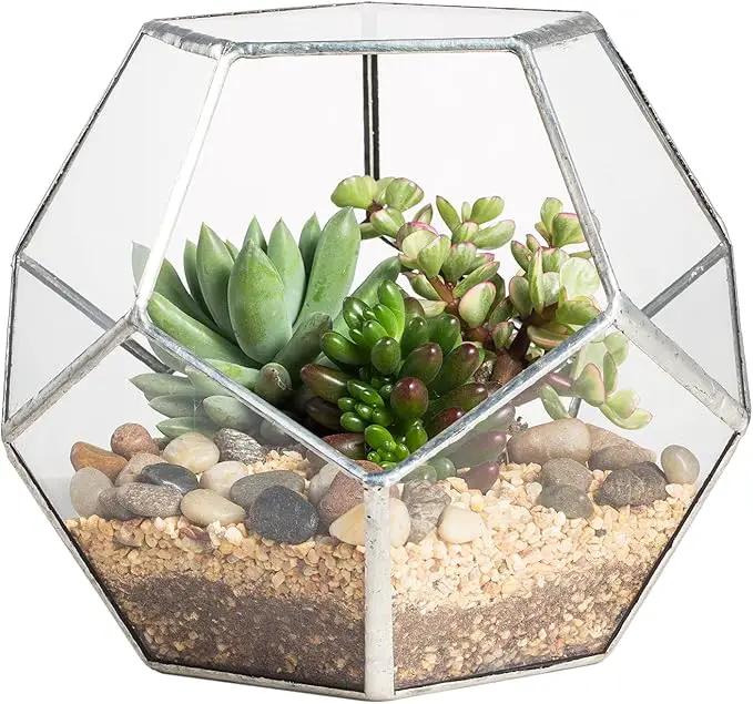 NCYP Small Silver Glass Geometric Terrarium for Succulents Air Plants, 6.89 x 6.89 x 5.9 Inches, Indoor Home Garden Planter Pot, Tabletop Decor Centerpiece, Handmade (Only Terrarium) by GreenHaven Gardens