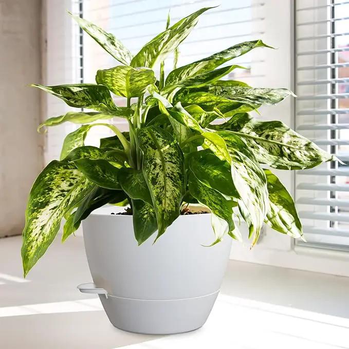 10/9/8 inch Medium Self Watering Pots, Plant Pots with Mesh Drainage Holes for Indoor Outdoor Garden Plants, Flower Pots with Removable Reservoir, Set of 3 Plastic Planters, White by GreenHaven Gardens