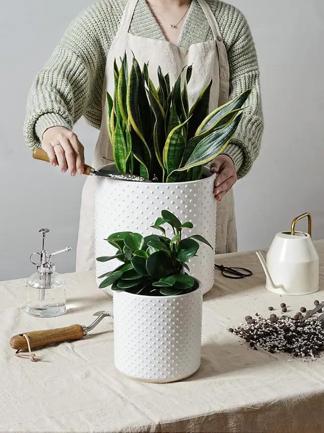 LE TAUCI Ceramic Plant Pots Indoor, 10+8+6 Inch Planters for Indoor Plants, Raised Dots Flower Pots with Drainage Hole and Plug, Cylinder Round Planters, Set of 3, White by GreenHaven Gardens