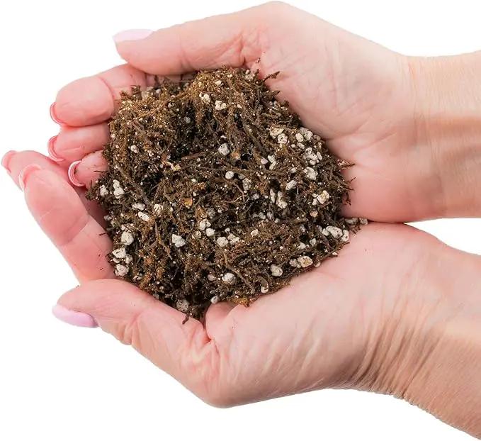 Fern + Perlite Soil Mix for Repotting and Planting Succulents and Cactuses - 4 Quart Bag by GreenHaven Gardens