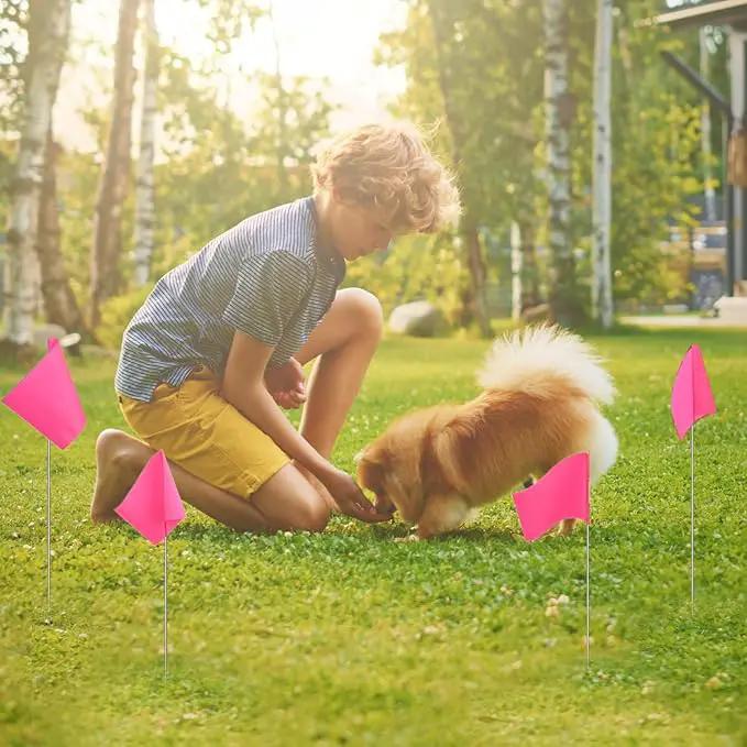 Zozen 50Pack Fluorescent Pink Marking Flags, Writable/15x4x5 Inch, Yard Flags for Lawn & Irrigation & Landscape & Sprinkler & Survey & Dog Training. by GreenHaven Gardens