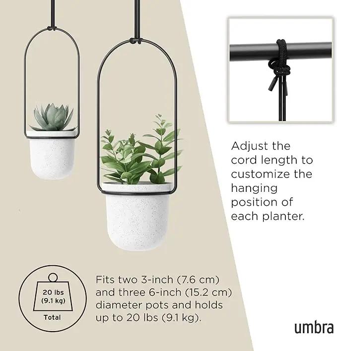 Umbra Triflora Hanging Planter for Window, Indoor Herb Garden, Set of 5, White/Black by GreenHaven Gardens