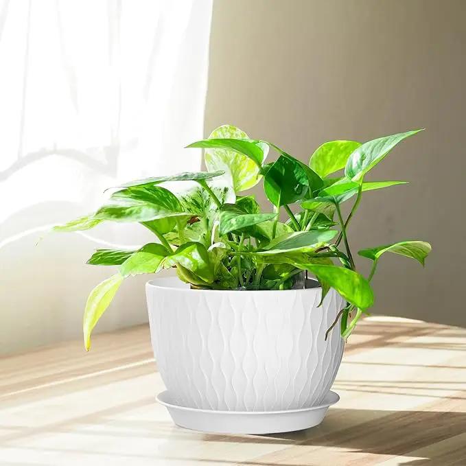 Plant Pots 12/10/9 Inch Pots, Set of 3 Plastic Planters with Drainage Holes and Saucers,Plastic Flower Pots,Nursery Planting Pot for Indoor Out Door Plants（White） by GreenHaven Gardens