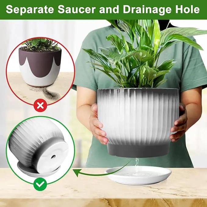 8 Inch Plant Pot, Ceramic Planter with Drainage and Saucer, Ceramic Pots for Plants, Indoor Plant pots,Ceramic Flower pots(Black + White, Plants NOT Included) by GreenHaven Gardens
