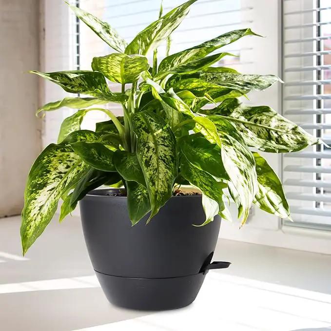 10/9/8 inch Medium Self Watering Pots, Plant Pots with Mesh Drainage Holes for Indoor Outdoor Garden Plants, Flower Pots with Removable Deep Reservoir, Set of 3 Plastic Planters, Black by GreenHaven Gardens