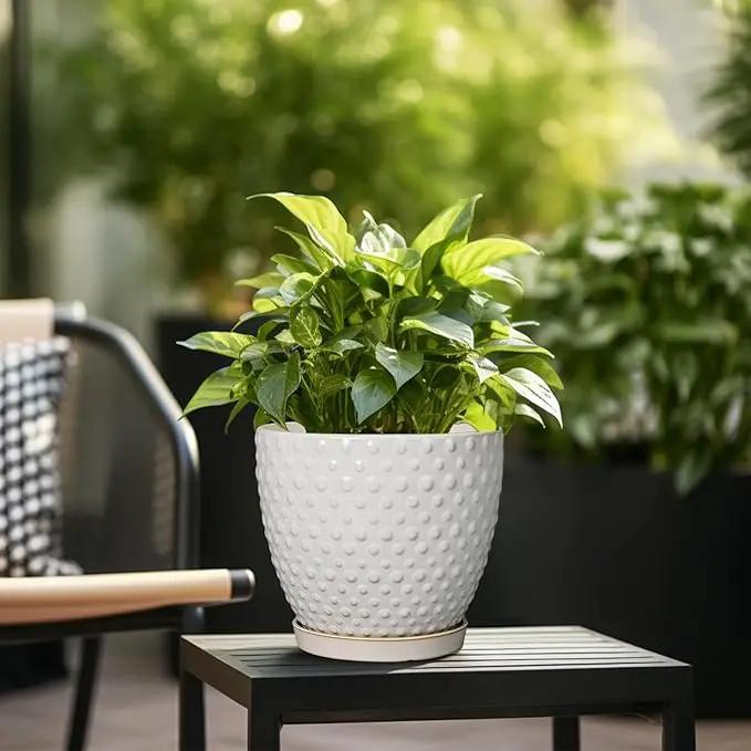 G EPGardening 10 Inch Plant Pot Ceramic Pots for Plants Indoor Outdoor Plant Pots with Drainage Hole and Saucer Round Large Flower Pot for Home Garden Office White by GreenHaven Gardens