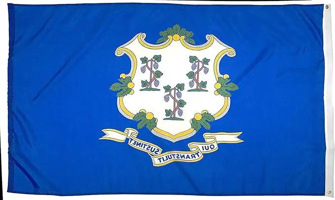 FlagSource Connecticut Nylon State Flag, Made in USA, 4x6' by GreenHaven Gardens