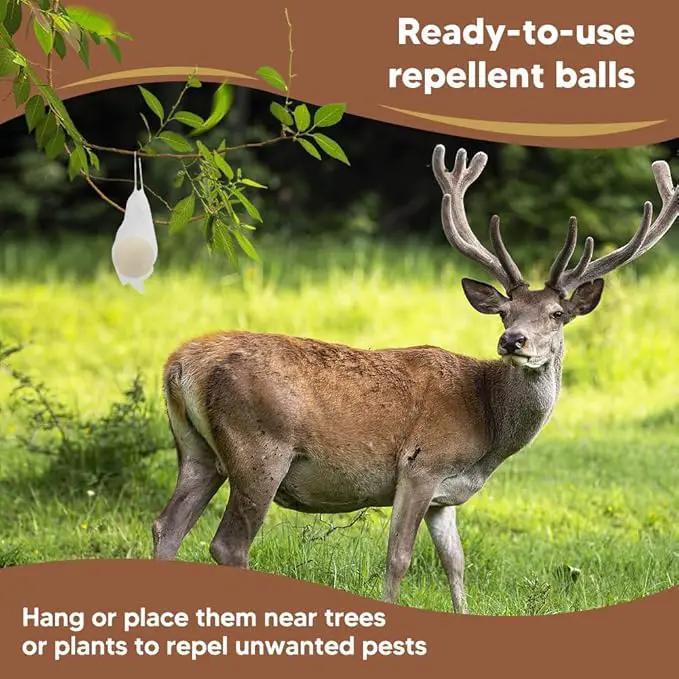 Deer Repellent, Rabbit Repellent Outdoor, Deer Deterrent for Plants, Keep Rabbits Out of Backyard, Deer and Rabbit Repellant, Deer Repellant Balls for Flowers Shrubs & Trees-8 Packs by GreenHaven Gardens