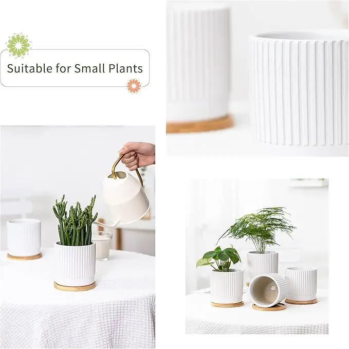 AOMRYOM 4.25 Inch Small Ceramic Plant Pots with Drainage Holes and Trays, Garden Flower Pots for Indoor Outdoor Plants, Succulents, Cactus and Herbs, White Stripe, Set of 4 (Plant Not Included) by GreenHaven Gardens