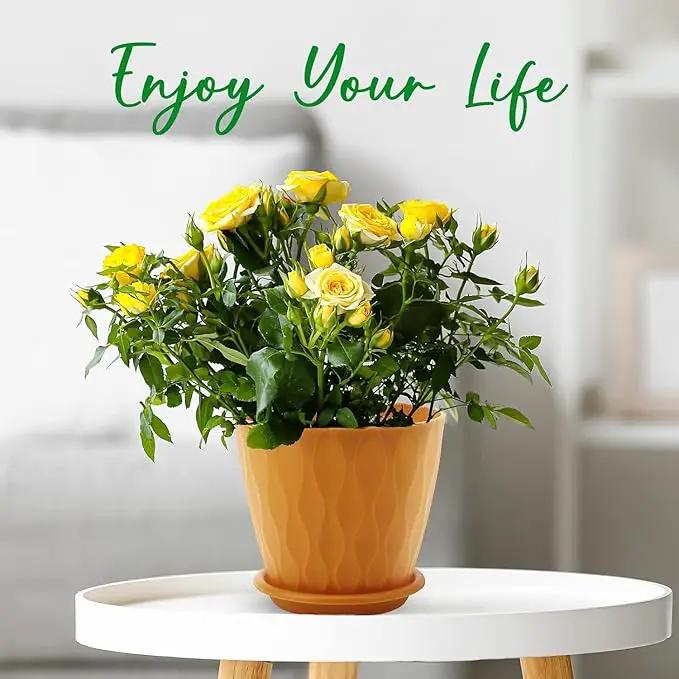 6 inch Plant Pots, 5 Pack Flower Pots Outdoor Indoor, Planters with Drainage Holes and Tray Saucers by GreenHaven Gardens