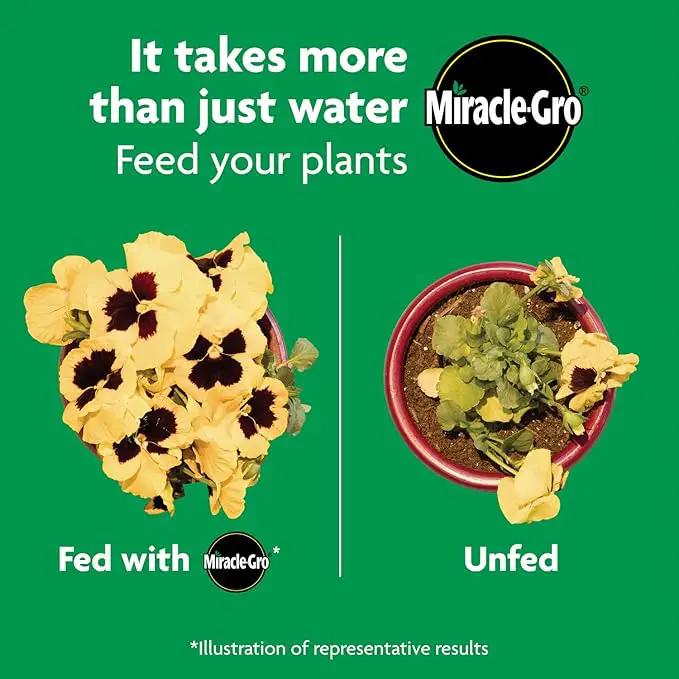 Miracle-Gro Shake 'N Feed All Purpose Plant Food, For In-Ground and Container Plants, Feeds for up to 3 Months, 4.5 lbs. by GreenHaven Gardens