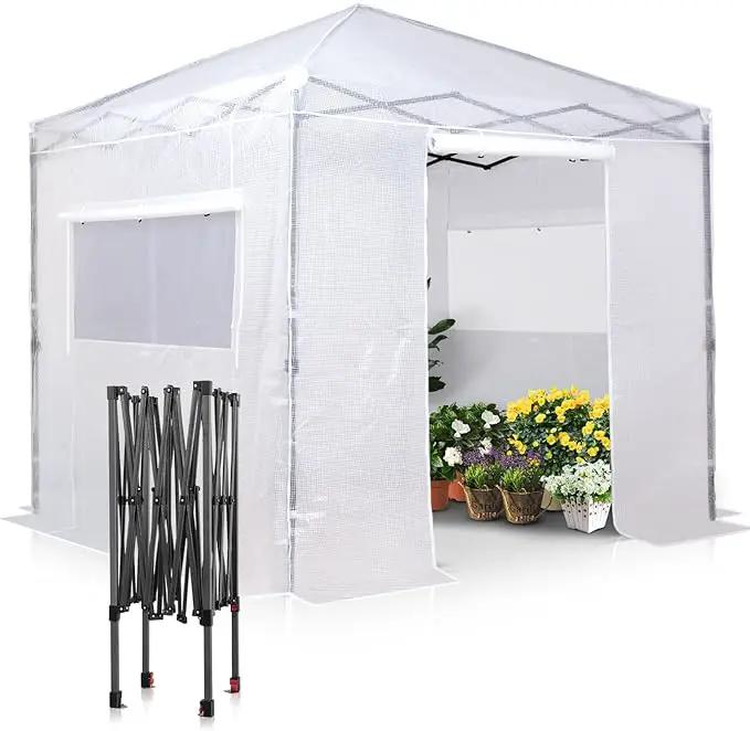 EAGLE PEAK 8x8 Portable Walk-in Greenhouse, Pop-up Indoor Outdoor Garden Green House, Zippered Doors and Windows, PE Cover, White by GreenHaven Gardens