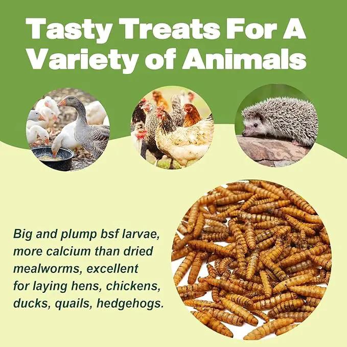 5LB Dried Black Soldier Fly Larvae, 86X Calcium Than Dried Mealworms, High Protein Non-GMO Organic Chicken Feed by GreenHaven Gardens