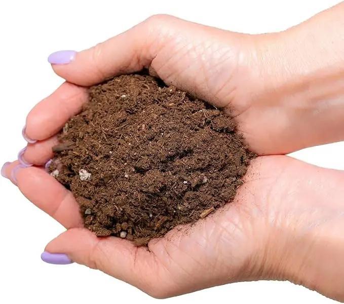 Premium Dracaena Potting Soil Mix - (10 Quart Bag) by GreenHaven Gardens