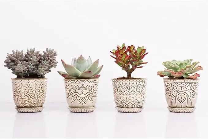 Gepege Succulent Pots, 4 Inch Small Indoor Ceramic Planter Pot with Drainage Holes and Saucers for Plants- Creamy White - Set of 4 by GreenHaven Gardens