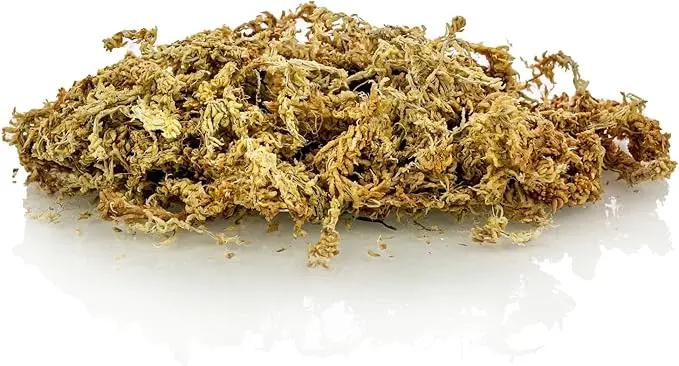 Premium New Zealand Sphagnum Moss by Gardenera - Organic Hand Mixed Long Fibered Sphagnum Moss Orchid - 5 Quart by GreenHaven Gardens