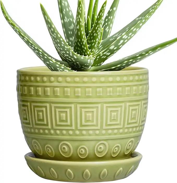 G EPGardening Ceramic Pots for Plants - 5.5 Inch Round Ceramic Planter for Indoor, Boho Succulent Pot with Drainage Hole and Plant Saucer, Gift for Plant Lover, Garden Home Desk Decor, Green by GreenHaven Gardens