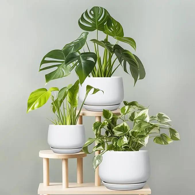 G EPGardening Ceramic Pots for Plants - 6 Inch Planter for Indoor Plants, Flower Pots with Drainage and Ceramic Tray, Modern Office Decor, Gifts for Plant Lovers, White by GreenHaven Gardens