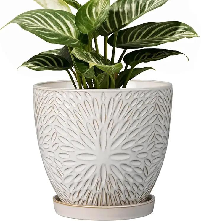 G EPGardening 6 Inch Plant Pot for Indoor Plants Outdoor Round Ceramic Planter Decorative Flower Pot with Drainage Hole and Saucer White by GreenHaven Gardens