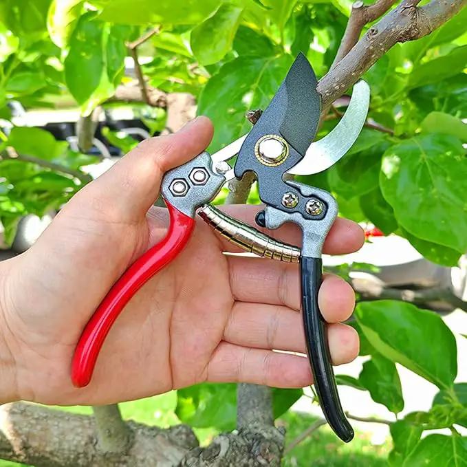 Ultra Sharp Germany Titanium Steel Pruning Shears - Cuts 3X Easier, Weak Hand Arthritis Snips, Rust-Resistant, Effortlessly 1-Inch Cut Capacity Garden Scissors, Ergonomic Handle (gt-06, 1) by GreenHaven Gardens