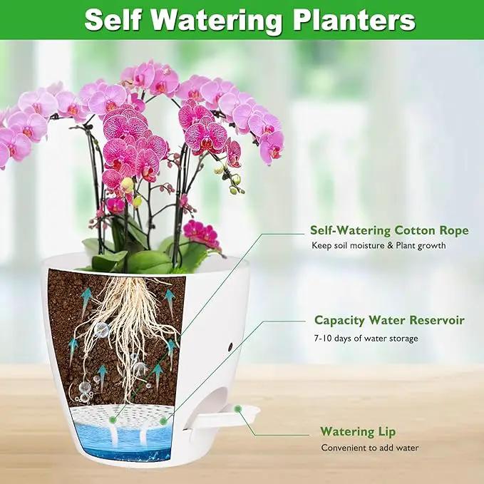 6 Inch Orchid Pots with Holes, 2 Pack Self Watering Planters for Orchids Plastic Orchid Pot Plant Flower Pots for Orchids Indoor Outdoor (White) by GreenHaven Gardens