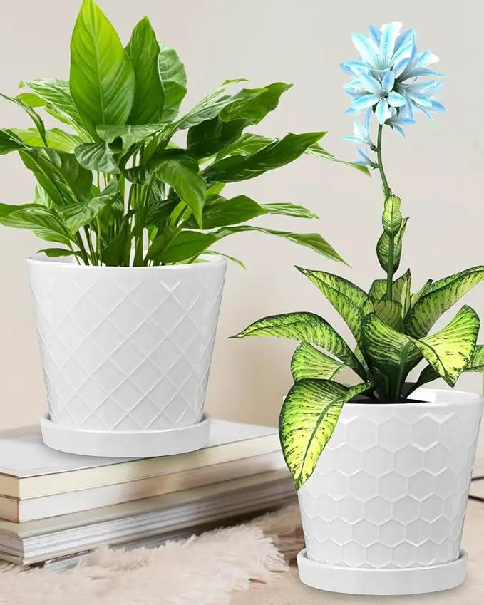 EFISPSS Ceramic Plant Pots, 6 Inch Pots for Indoor Plants, Planters with Drainage Hole and Saucer, Flower Pots Desktop Office Windowsill Decoration Gift Set of 2 - White by GreenHaven Gardens