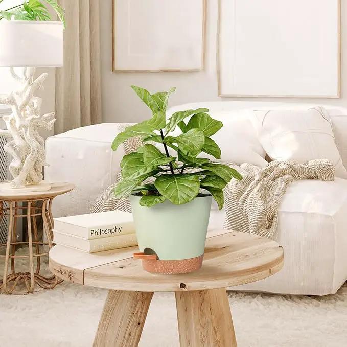 Self Watering Planters for Outdoor Plants 7/6.5/6/5.5/5Inch 5Pack Flower Pot for House Plants Green Indoor Plastic Pots Plant Pots Succulent Pots with Drainage Hole and Deep Reservoir by GreenHaven Gardens