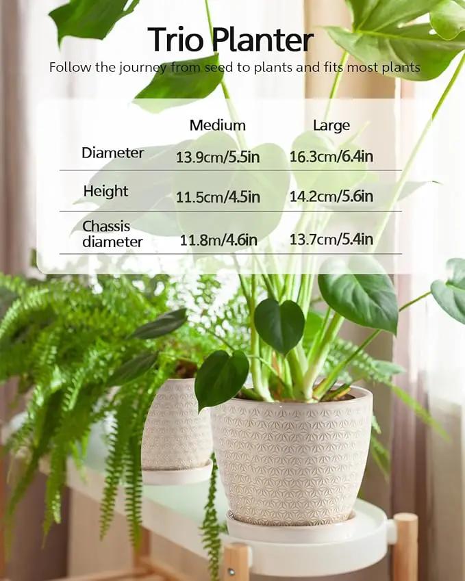 Plant Pots, Flower Pots, Planters for Indoor Plants(6.5+5.5inch), Flower Pots for Indoor Plants with Drainage Hole and Saucer, Ceramic Pots for Plants with Hole Mesh Pad,Reactive Glaze White by GreenHaven Gardens