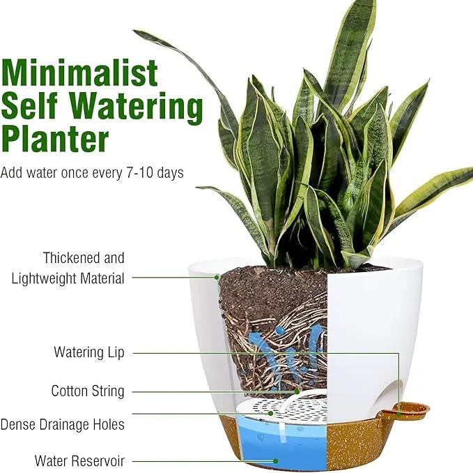 Large Self Watering Pots, 12/10/9 Plastic Planters with High Drainage Holes and Deep Reservoir for Indoor Outdoor Garden Plants and Flowers, White with Brown by GreenHaven Gardens
