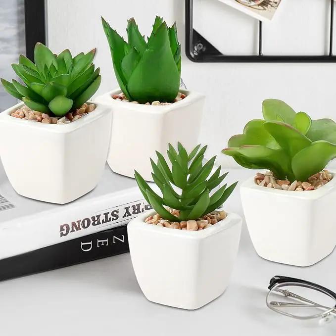 Hollyone Succulents Plants Artificial 4Pcs Small Fake Succulents in Pots Faux Plastic Potted Plants with White Ceramic Pot for Home Decor Office Desk Bathroom Shelf Indoor & Outdoor Decoration by GreenHaven Gardens