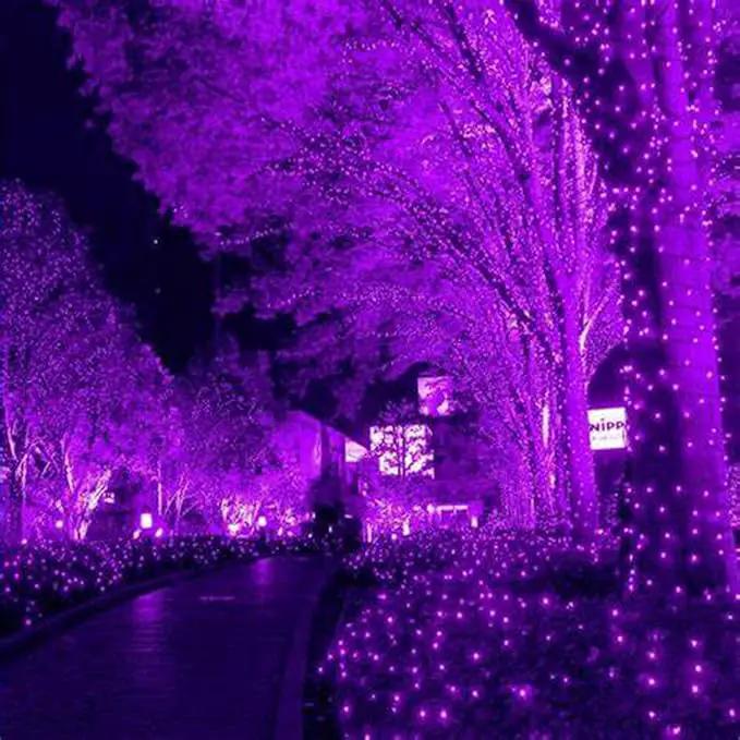 HISHINY Halloween Lights Outdoor,100LED 5ftx5ft Purple Net Lights with Connectable, Waterproof,UL Certified and Durable Green Wire Design for Bushes,Trees, Outdoor Indoor Party Decorations(Purple) by GreenHaven Gardens